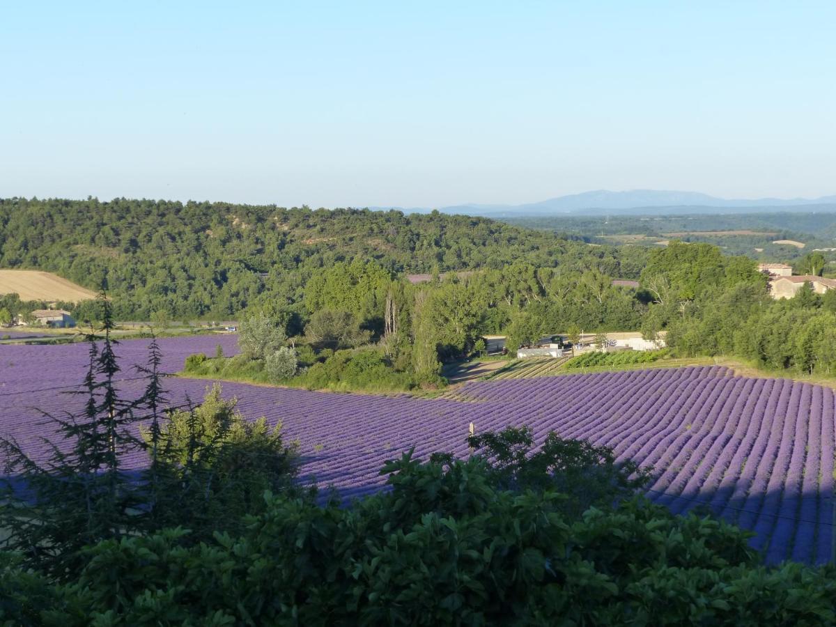 La Ferme Du Petit Segries Bed And Breakfast ムスティエ・サント・マリー エクステリア 写真