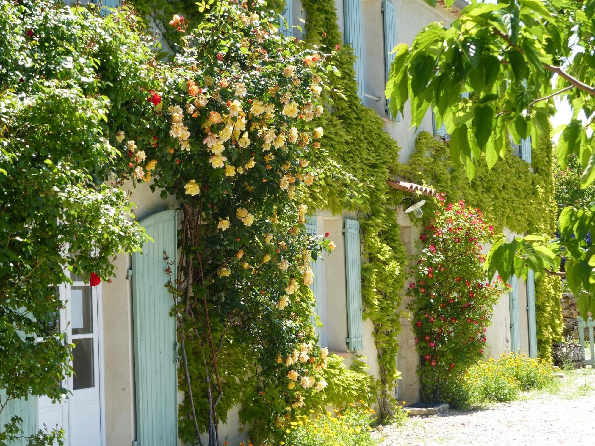 La Ferme Du Petit Segries Bed And Breakfast ムスティエ・サント・マリー 部屋 写真
