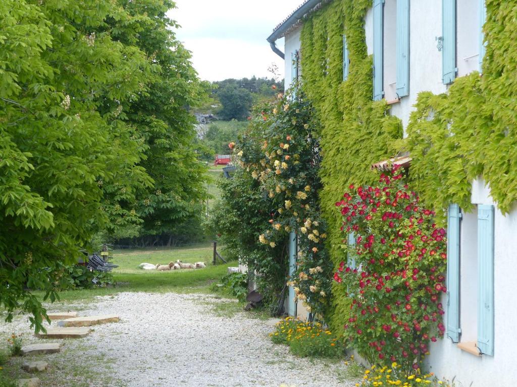 La Ferme Du Petit Segries Bed And Breakfast ムスティエ・サント・マリー エクステリア 写真